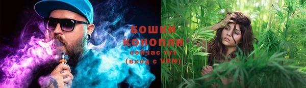 молекула духа Верея