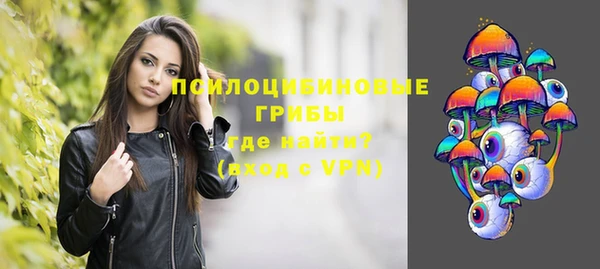 молекула духа Верея