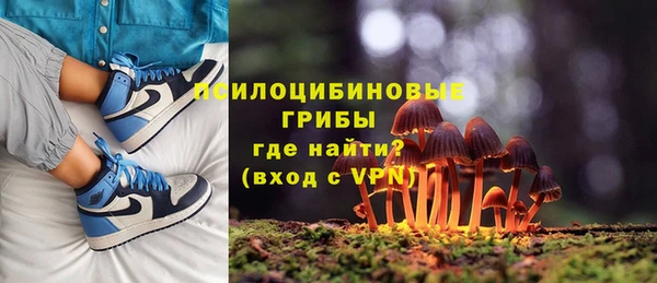 молекула духа Верея
