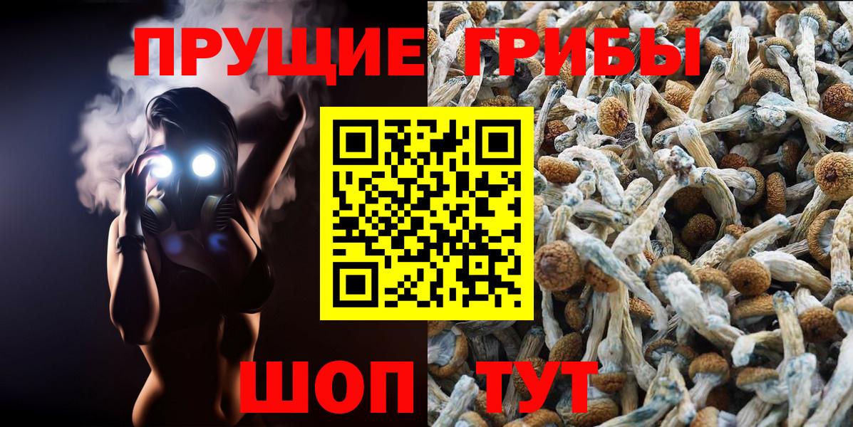 Псилоцибиновые грибы Cubensis Мариинск