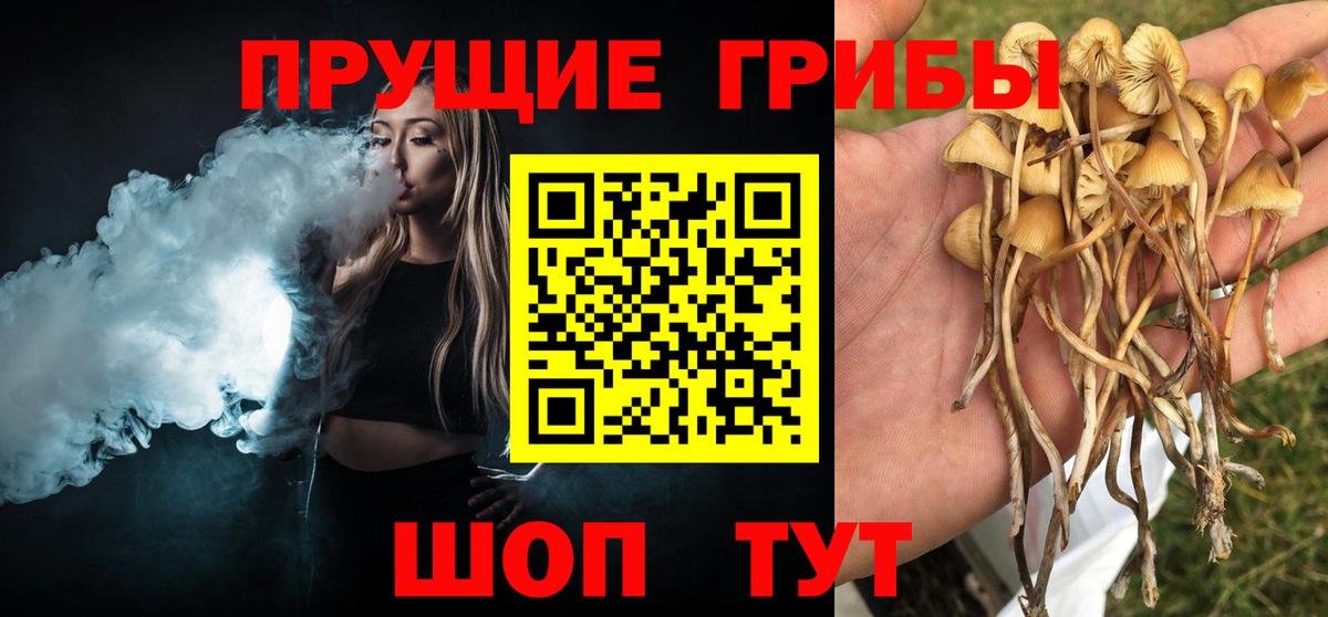 Мариинск  Галлюциногенные грибы мухоморы  Вход с VPN  купить наркотик  Галлюциногенные грибы Cubensis 